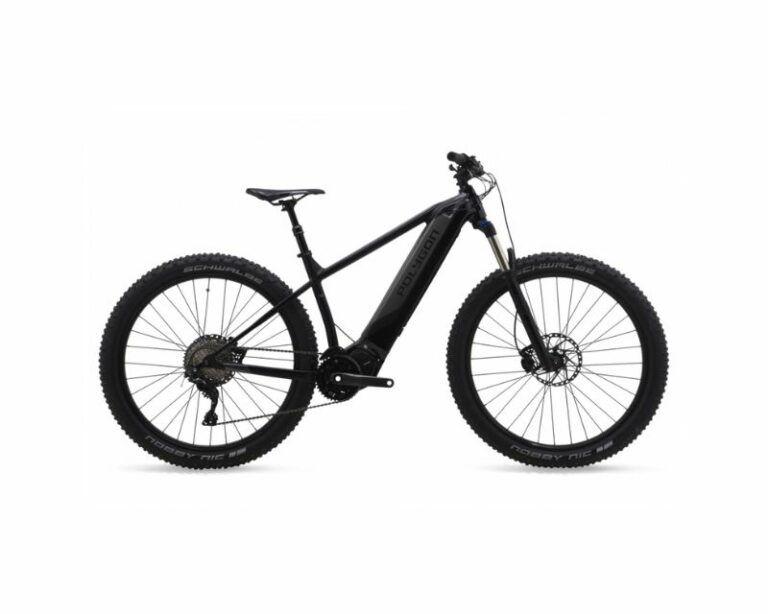 sepeda listrik polygon