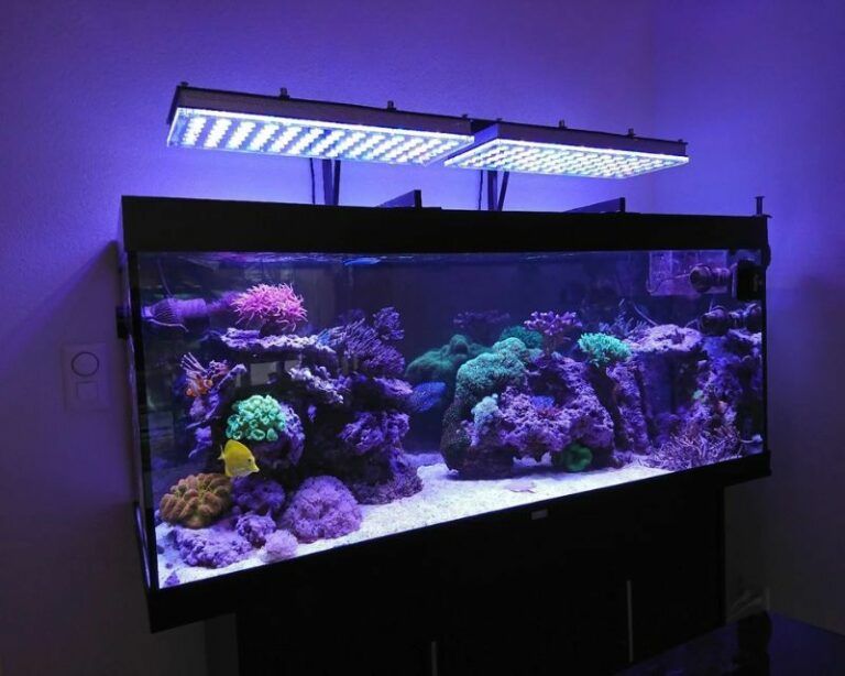 lampu aquarium led