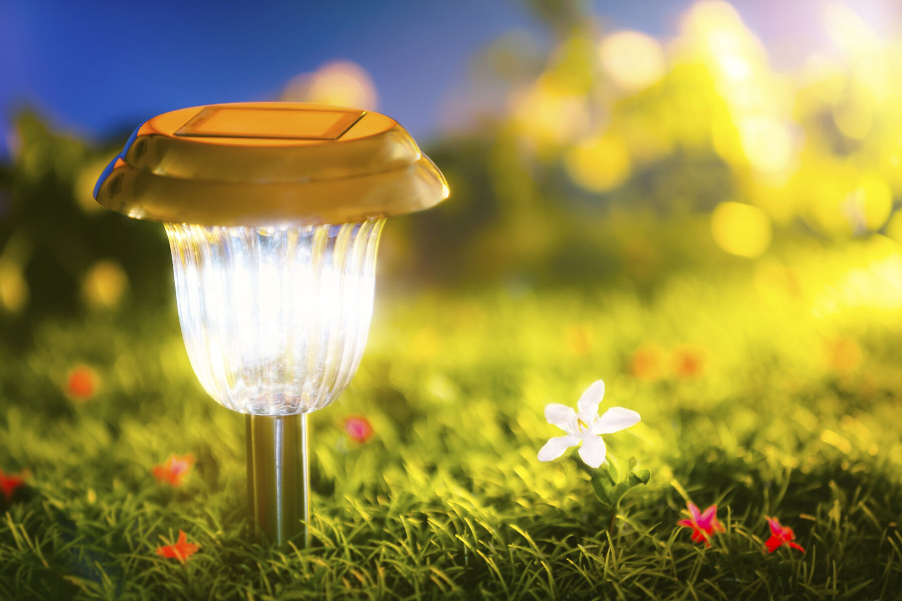 8 Jenis Lampu di Taman untuk Menambah Estetika Taman